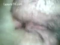 Beast Porn - A dog seizes raunchy fulfillment by the fuck of a Man
